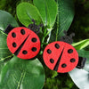 2 Pack Lady Bug Clips