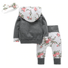 Hoodie + Pants Outfit - Bitsy Bug Boutique