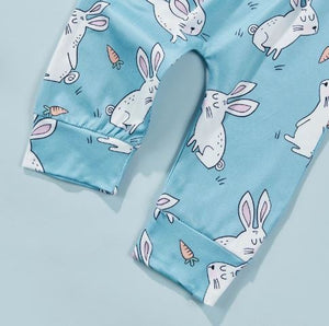 Baby Bunny 3 Piece Easter Outfit (Blue or Pink)